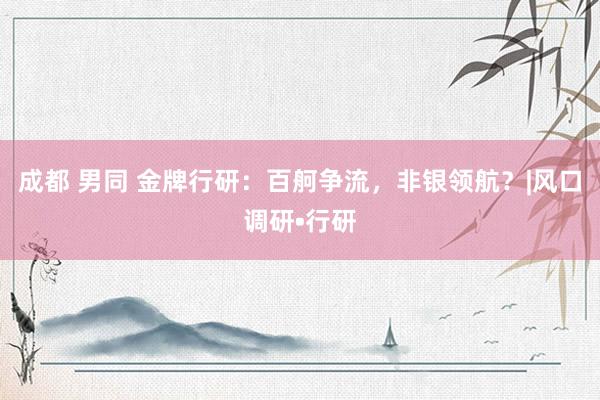 成都 男同 金牌行研:百舸争流,非银领航?|风口调研•行研