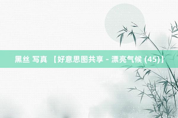 黑丝 写真 【好意思图共享 - 漂亮气候 (45)】