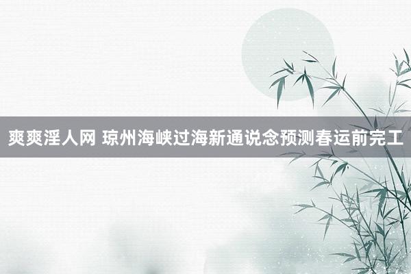 爽爽淫人网 琼州海峡过海新通说念预测春运前完工