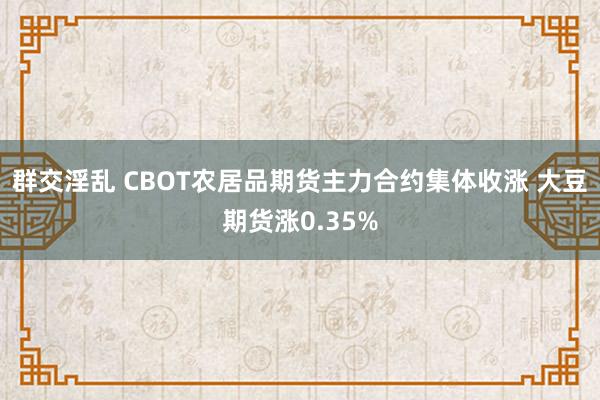 群交淫乱 CBOT农居品期货主力合约集体收涨 大豆期货涨0.35%