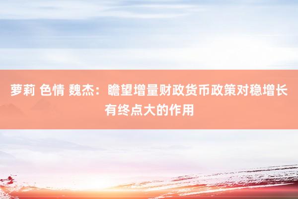 萝莉 色情 魏杰：瞻望增量财政货币政策对稳增长有终点大的作用