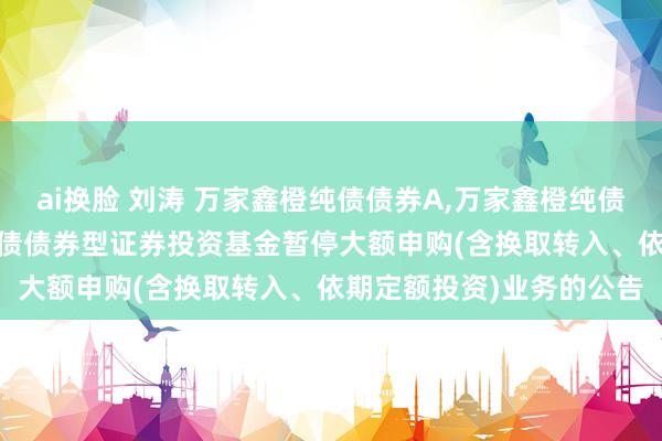ai换脸 刘涛 万家鑫橙纯债债券A,万家鑫橙纯债债券C: 对于万家鑫橙纯债债券型证券投资基金暂停大额申购(含换取转入、依期定额投资)业务的公告
