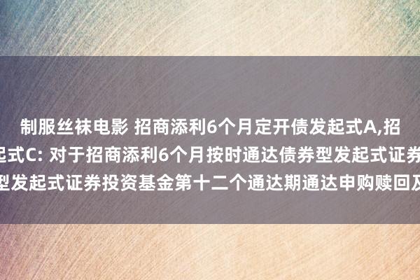 制服丝袜电影 招商添利6个月定开债发起式A,招商添利6个月定开债发起式C: 对于招商添利6个月按时通达债券型发起式证券投资基金第十二个通达期通达申购赎回及转念业务的公告