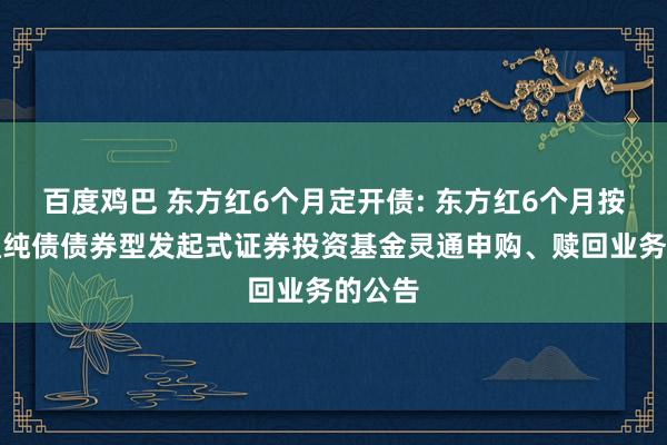 百度鸡巴 东方红6个月定开债: 东方红6个月按时灵通纯债债券型发起式证券投资基金灵通申购、赎回业务的公告