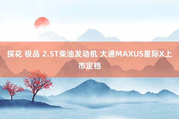 探花 极品 2.5T柴油发动机 大通MAXUS星际X上市定档