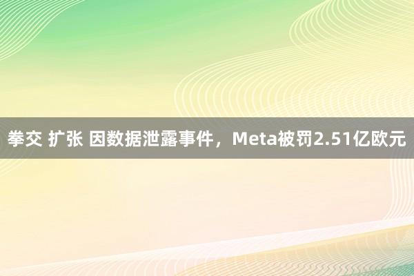 拳交 扩张 因数据泄露事件，Meta被罚2.51亿欧元