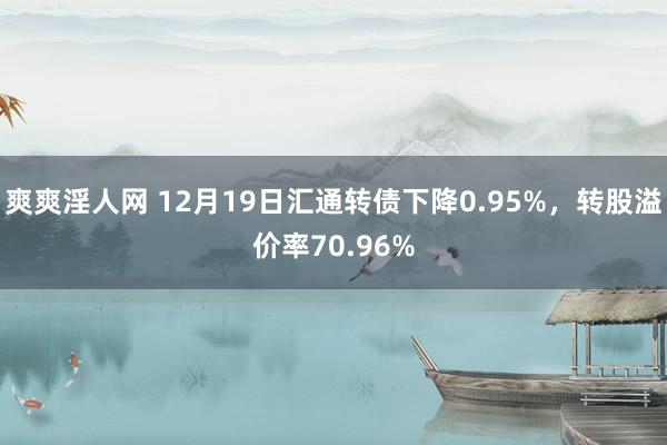 爽爽淫人网 12月19日汇通转债下降0.95%，转股溢价率70.96%