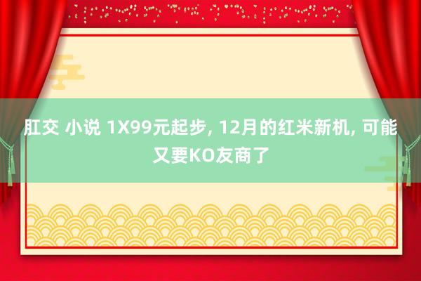 肛交 小说 1X99元起步， 12月的红米新机， 可能又要KO友商了