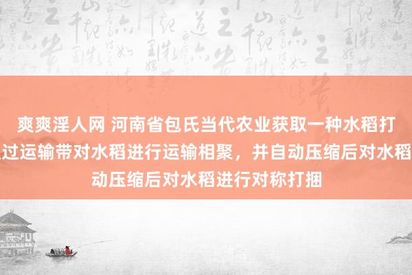 爽爽淫人网 河南省包氏当代农业获取一种水稻打捆机专利，通过运输带对水稻进行运输相聚，并自动压缩后对水稻进行对称打捆
