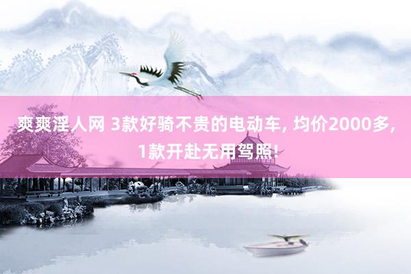 爽爽淫人网 3款好骑不贵的电动车， 均价2000多， 1款开赴无用驾照!