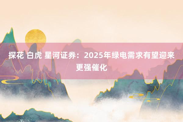 探花 白虎 星河证券：2025年绿电需求有望迎来更强催化