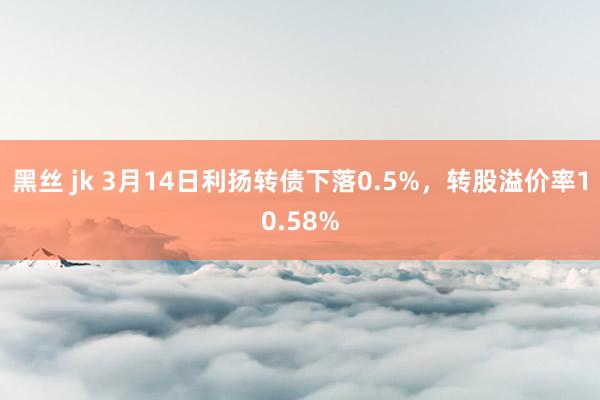 黑丝 jk 3月14日利扬转债下落0.5%，转股溢价率10.58%