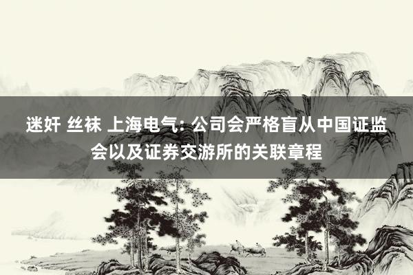 迷奸 丝袜 上海电气: 公司会严格盲从中国证监会以及证券交游所的关联章程