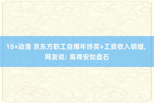 18+动漫 京东方职工自爆年终奖+工资收入明细， 网友说: 高得安如盘石