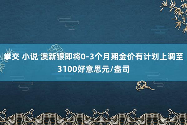 拳交 小说 澳新银即将0-3个月期金价有计划上调至3100好意思元/盎司
