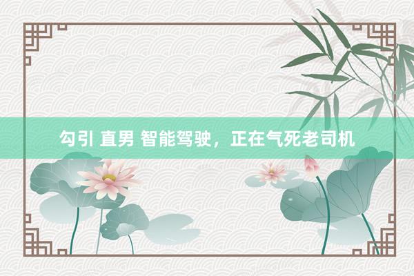 勾引 直男 智能驾驶，正在气死老司机