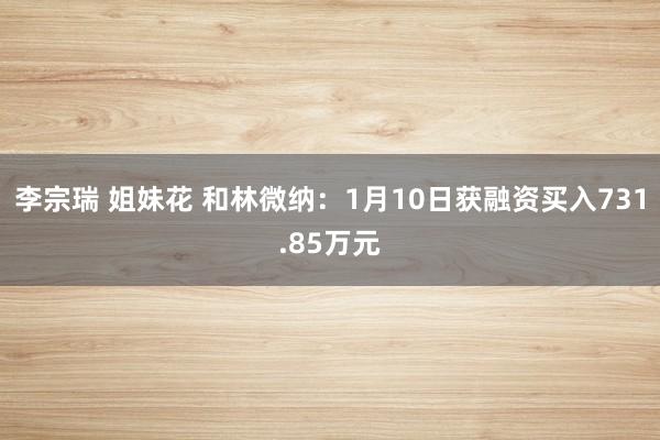 李宗瑞 姐妹花 和林微纳：1月10日获融资买入731.85万元