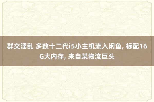 群交淫乱 多数十二代i5小主机流入闲鱼， 标配16G大内存， 来自某物流巨头