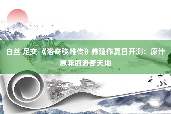 白丝 足交 《洛奇骁雄传》养殖作夏日开测：原汁原味的洛奇天地