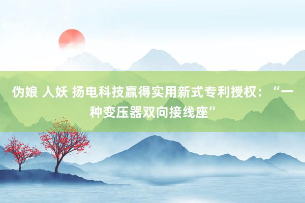 伪娘 人妖 扬电科技赢得实用新式专利授权：“一种变压器双向接线座”