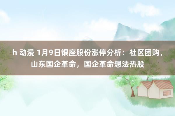 h 动漫 1月9日银座股份涨停分析：社区团购，山东国企革命，国企革命想法热股
