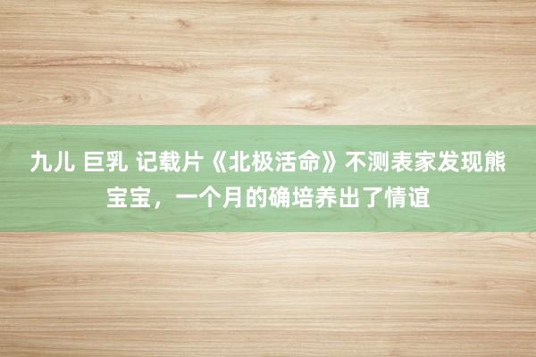九儿 巨乳 记载片《北极活命》不测表家发现熊宝宝，一个月的确培养出了情谊