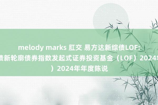 melody marks 肛交 易方达新综债LOF: 易方达中债新轮廓债券指数发起式证券投资基金(LOF)2024年年度陈说