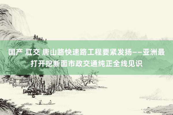 国产 肛交 唐山路快速路工程要紧发扬——亚洲最打开挖断面市政交通纯正全线见识