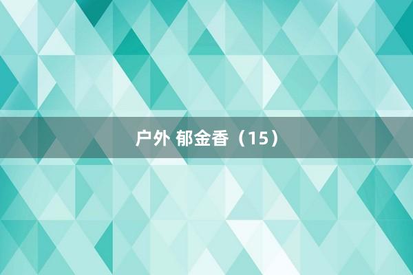 户外 郁金香（15）