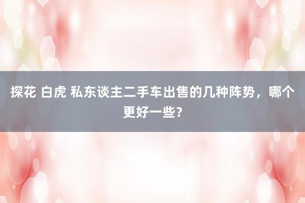 探花 白虎 私东谈主二手车出售的几种阵势，哪个更好一些？