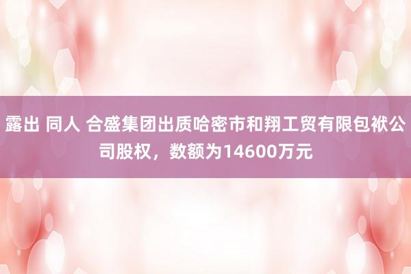 露出 同人 合盛集团出质哈密市和翔工贸有限包袱公司股权，数额为14600万元