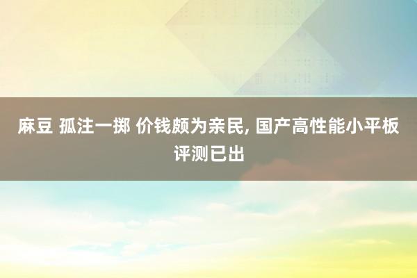 麻豆 孤注一掷 价钱颇为亲民， 国产高性能小平板评测已出