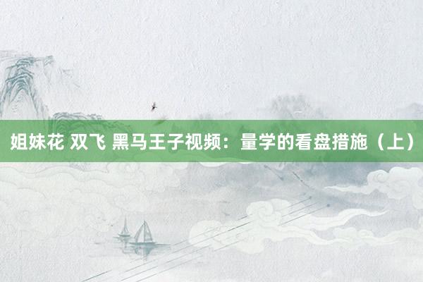 姐妹花 双飞 黑马王子视频：量学的看盘措施（上）