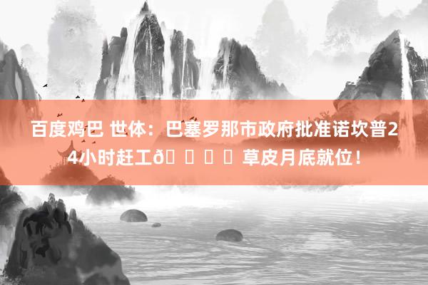 百度鸡巴 世体：巴塞罗那市政府批准诺坎普24小时赶工🏗️草皮月底就位！