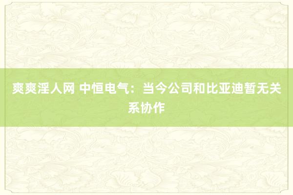 爽爽淫人网 中恒电气：当今公司和比亚迪暂无关系协作