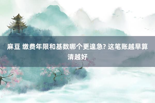 麻豆 缴费年限和基数哪个更遑急? 这笔账越早算清越好