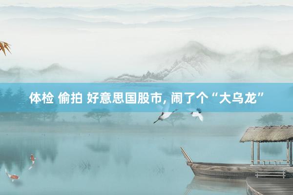 体检 偷拍 好意思国股市， 闹了个“大乌龙”