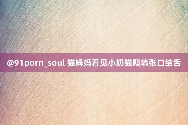 @91porn_soul 猫姆妈看见小奶猫爬墙张口结舌