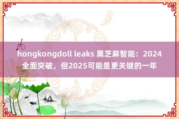 hongkongdoll leaks 黑芝麻智能：2024全面突破，但2025可能是更关键的一年