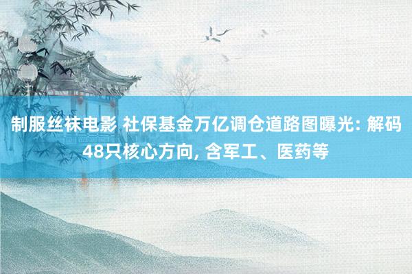 制服丝袜电影 社保基金万亿调仓道路图曝光: 解码48只核心方向， 含军工、医药等