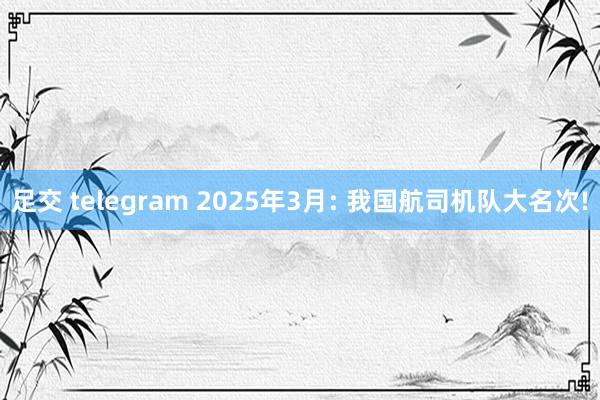 足交 telegram 2025年3月: 我国航司机队大名次!
