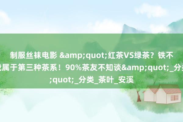 制服丝袜电影 &quot;红茶VS绿茶？铁不雅音：其实我属于第三种茶系！90%茶友不知谈&quot;_分类_茶叶_安溪