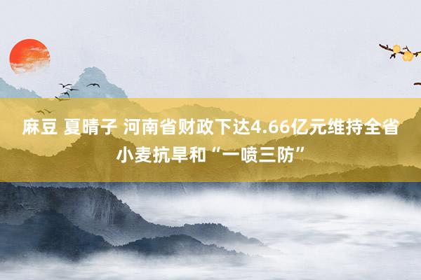 麻豆 夏晴子 河南省财政下达4.66亿元维持全省小麦抗旱和“一喷三防”