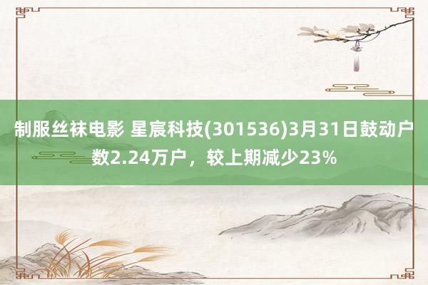 制服丝袜电影 星宸科技(301536)3月31日鼓动户数2.24万户，较上期减少23%