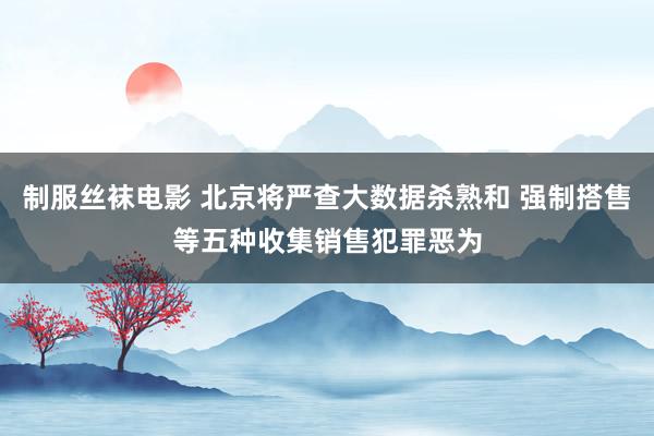 制服丝袜电影 北京将严查大数据杀熟和 强制搭售等五种收集销售犯罪恶为