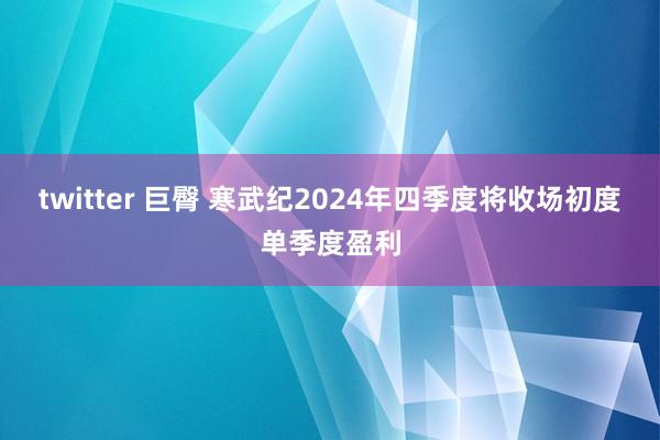 twitter 巨臀 寒武纪2024年四季度将收场初度单季度盈利