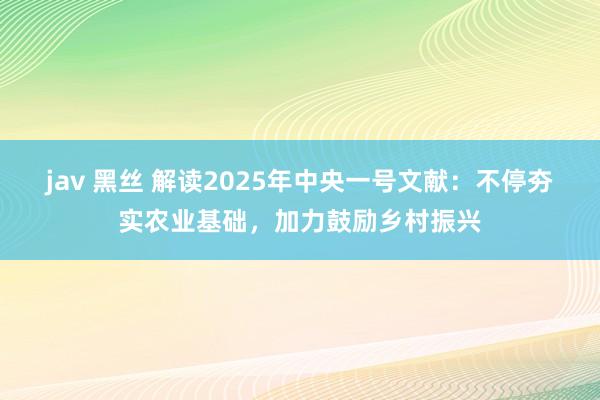 jav 黑丝 解读2025年中央一号文献：不停夯实农业基础，加力鼓励乡村振兴