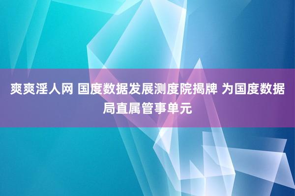 爽爽淫人网 国度数据发展测度院揭牌 为国度数据局直属管事单元