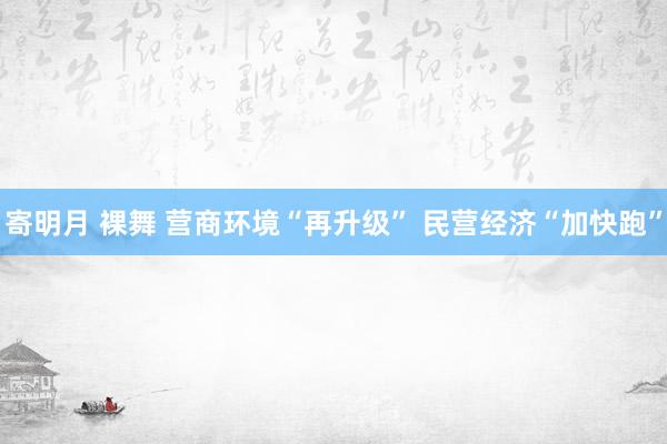 寄明月 裸舞 营商环境“再升级” 民营经济“加快跑”