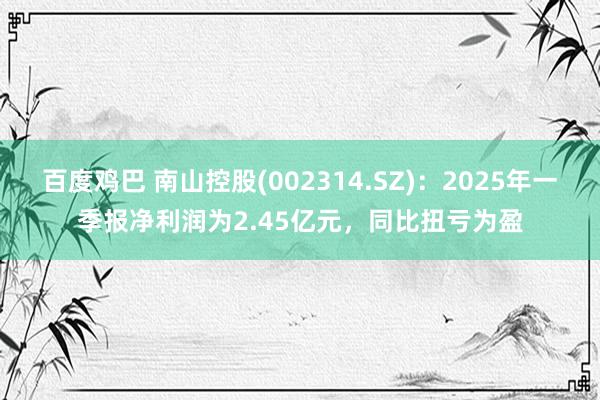 百度鸡巴 南山控股(002314.SZ)：2025年一季报净利润为2.45亿元，同比扭亏为盈